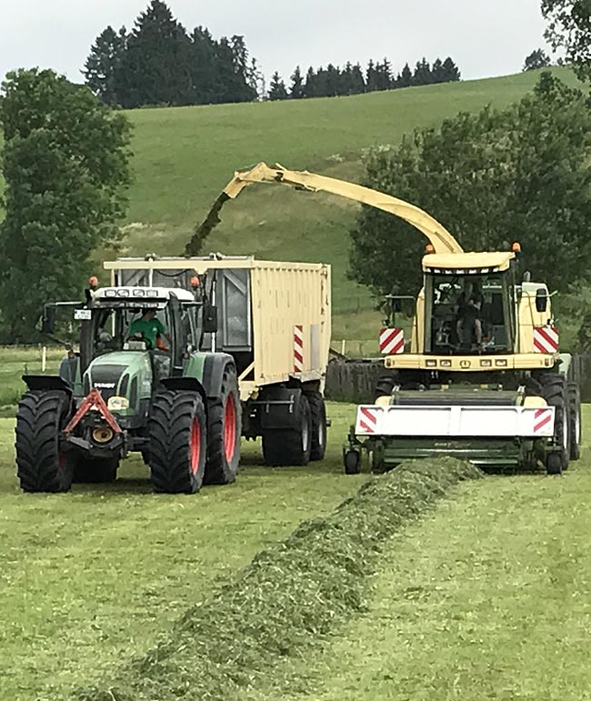 Grasarbeiten mit Krone Big.